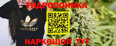 jwh Краснодар