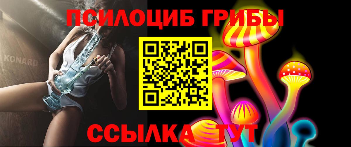 купить закладку  Вход с VPN  Семёнов  Псилоцибиновые грибы GOLDEN TEACHER 